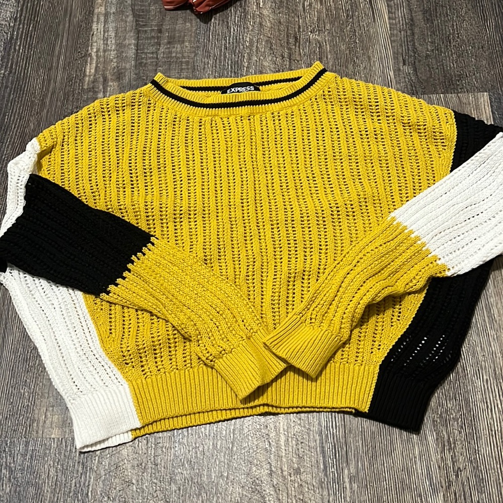 Cropped Sweater Express